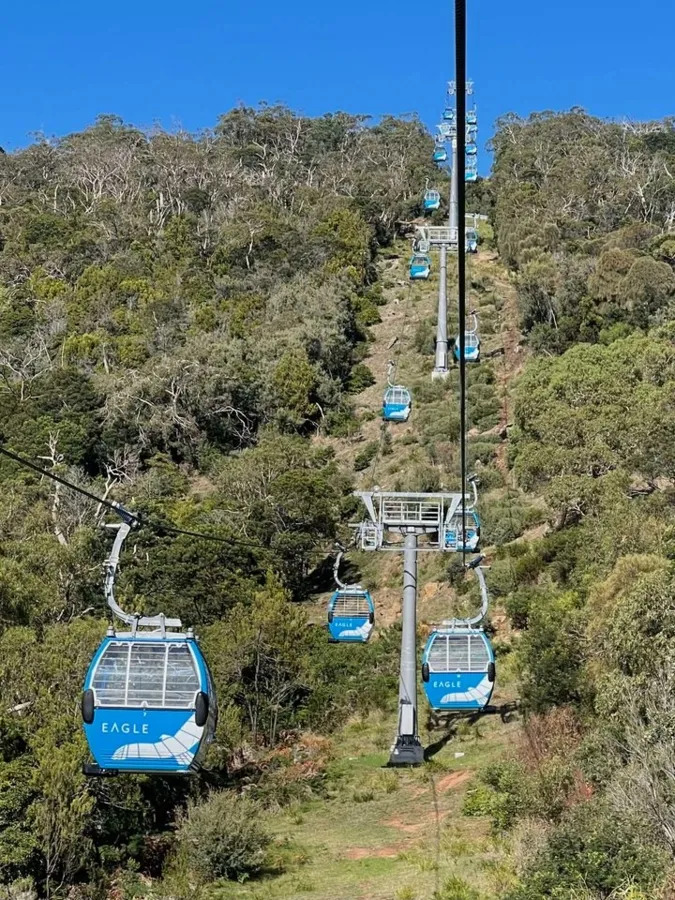 item image 553 album của tour Bán đảo Mornington