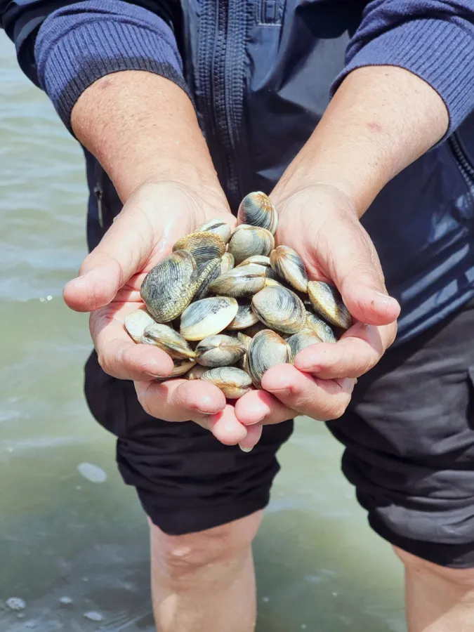 item image 543 album của tour Lake Entrance - Bắt ghẹ vớt tôm