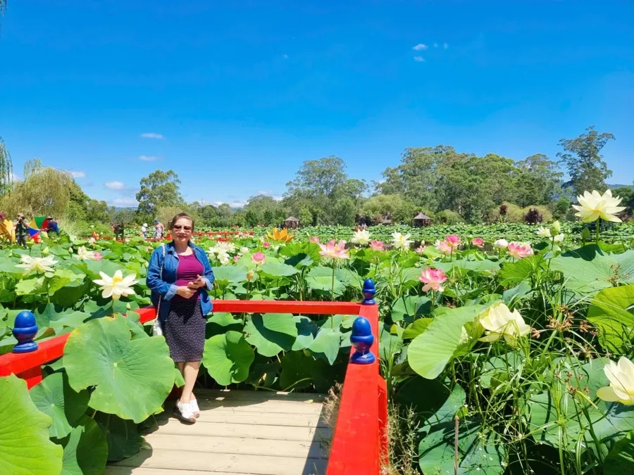 item image 561 album của tour du lịch tự túc Melbourne - Trải nghiệm câu cá