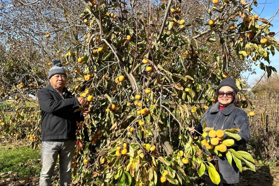 item image 574 album của tour Việt booking - VietBooking - Vbooking - Lá thu thị trấn Bright