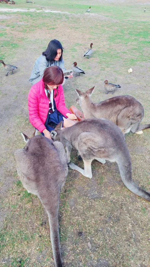 item image 666 album của tour Du lịch Melbourne 5 ngày 4 đêm