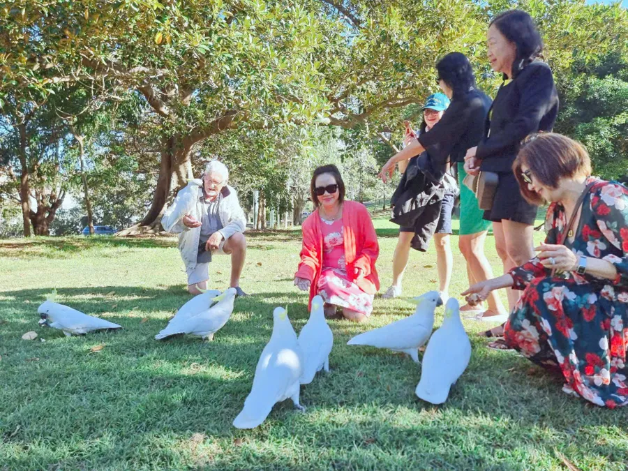 item image 639 album của tour Sydney city tour