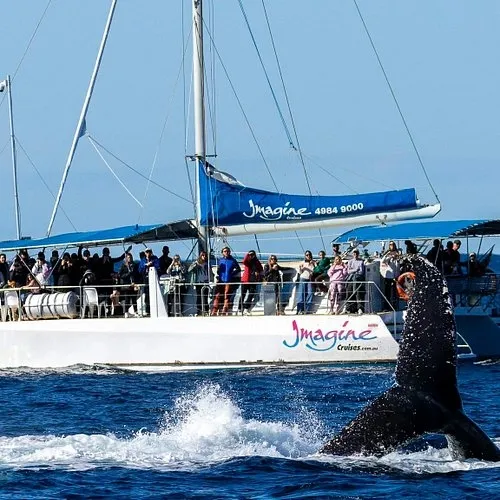 item image 614 album của tour Ngắm cá heo - Cưỡi Lạc đà - Nelson Bay