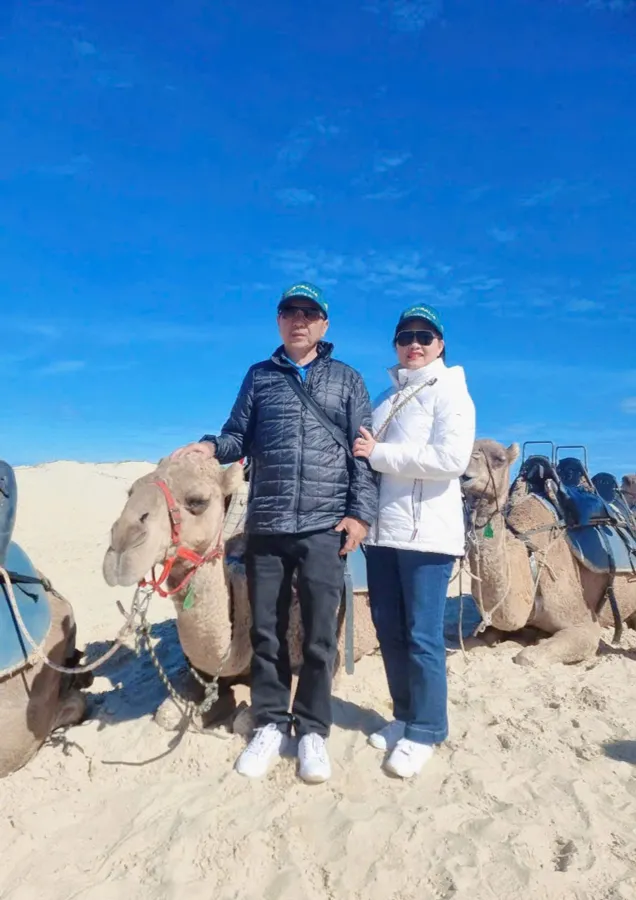 item image 705 album của tour Ngắm cá heo - Cưỡi Lạc đà - Nelson Bay