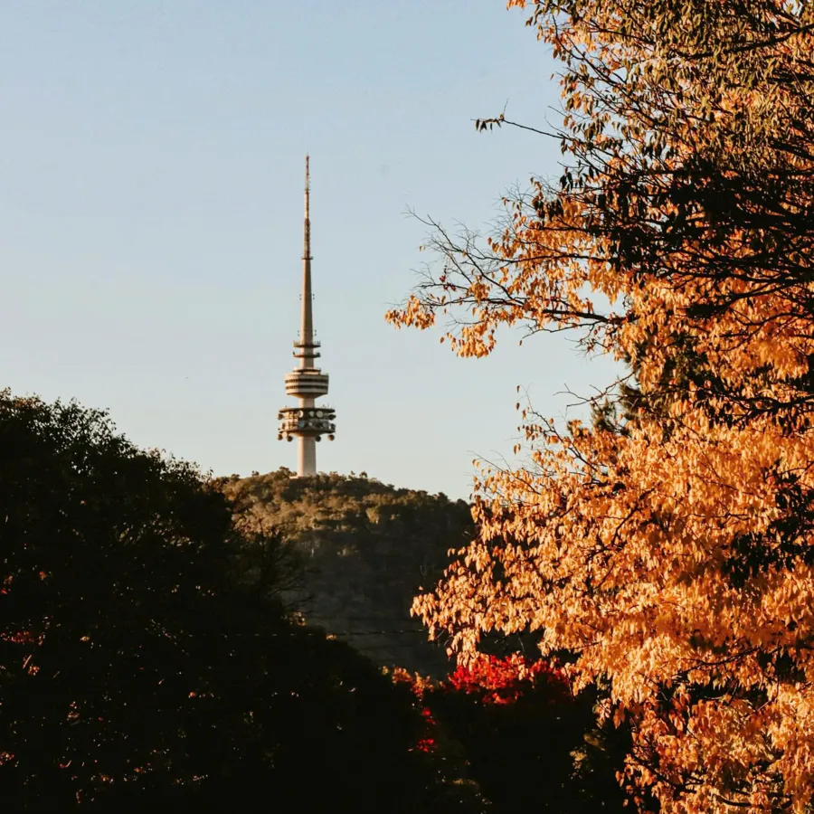 item image 689 album của tour Canberra - Trái tim nước Úc