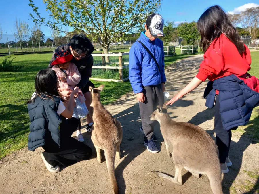 item image 820 album của tour Bán đảo Mornington