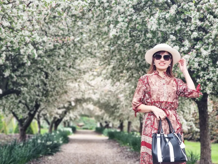 item image 801 album của tour Cherry farm và hoa Lavender