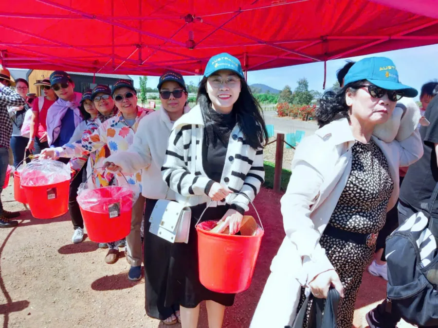 item image 815 album của tour Bán đảo Mornington