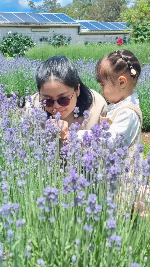 item image 861 album của tour Việt booking - VietBooking - Vbooking - Nông trang Yarra valley và tàu cổ Puffing Billing