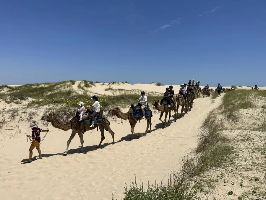 item image 329 album của tour Sydney tour - 5 ngày 4 đêm