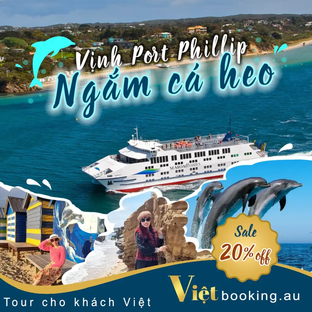 Du ngoạn Vịnh Port Phillip - Ngắm cá heo